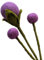 your castle Filzblumen handgemachte Dekoblumen für individuelle Kreationen, nachhaltiges Geschenk, fairer Handel, realistische Kunstblumen, 3 Stück in Lila