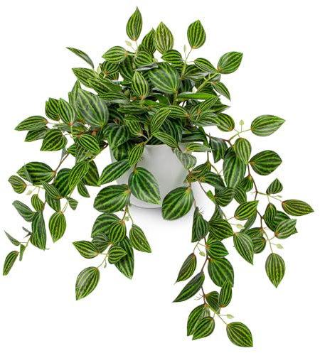 Oairse Fake Plants in Pots 41cm Artificial Plants Indoor Silk Trailing Vine Plant Fake Potted Plant Faux Watermelon Peperomia for Home Office Bathroom Kitchen Table Shelf Decoration