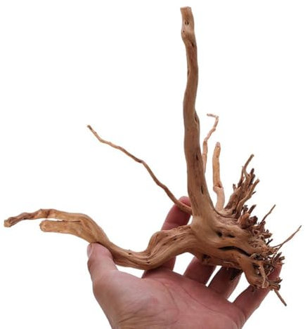 Qeortohers Aquarium Natürliche Baumwurzel versenktes Holz Dekoration Aquarium Mikro-Landschaftsdekoration für Fische zum Ausruhen 10/15/20/25 cm