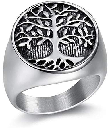 Aruie Bague Chevalière pour Homme en Acier Inoxydable Arbre de Vie Dôme Vintage Classique Bijoux Argent Taille 54