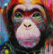 Abillyn Kreuzstich Stickpackungen Vorgedruckt, Bunte Orang-Utan Bilder Stickerei Set (Orang-Utan)