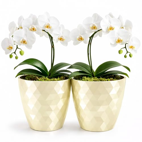 PECZEKO glänzender Blumentöpfe, Kunststoff-Pflanzentöpfe, dekorativer Blumentopf für große und kleine Blumen, 2er-Set Blumentöpf, Pflanztopf, Kräutertopf, (2 Pack) Creme, ø 16 cm