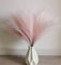 30 Stücke Pampasgras Trockenblumen Rosa, Naturalnh Künstlicher Pampas, Deko Gras Flauschig, Trockenblumen Boho für Hochzeit und Heimdekoration