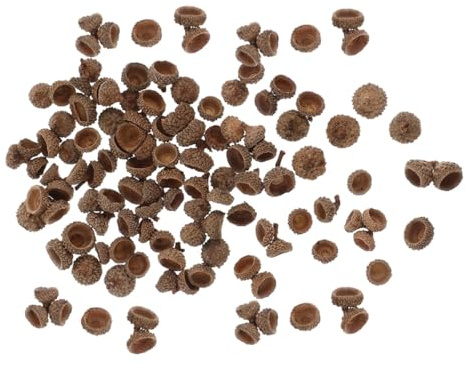 Winter Feier Weihnachten Mottoparty Eichelkappen 200 Stück | Echte Eicheln, Kaffeebraune Naturoptik, 2x2x1cm, für Vasen, Gläser, Tisch und Kamin Deko