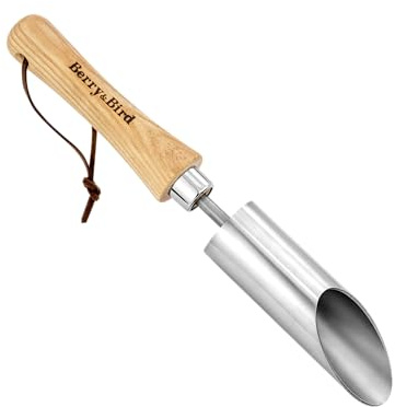 Berry&Bird Zwiebelpflanzer 31 cm, Blumenzwiebel-Pflanzer aus Edelstahl mit kurzem Holzgriff – Pflanzstecher für Rasen, Beete und Blumentöpfe – Ideal für kleine Zwiebeln und Pflanzballen