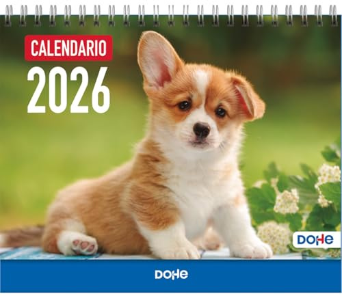 Dohe - Tischkalender 2026 - Monatsübersicht, 12 Monate Januar bis Dezember, Größe 21x15 cm, Monats- und Jahresplanung mit Platz für Notizen - Hunde
