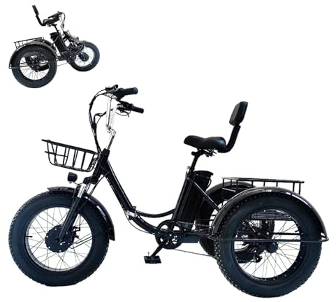FRANREADER 500W Motor Adult Electric Trike, Fat Tire Mountain E-Bike 48V 13ah Battery 7 Speed 20'' Tricycle, Outdoor Cycling Beach Sonw Three Wheel Electric Bicycle with Basket
