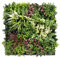 FRANKYSTAR Liana - Quadro vegetale con foglie e fiori, cornice nera in PVC, 50x50 cm