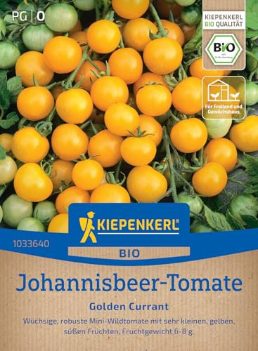 Kiepenkerl Johannisbeer-Tomatensamen Golden Currant 1033640 - widerstandsfähig - gelbe Früchte - sehr ertragreich - Saatgut, Tomatenpflanzen, Samen Gemüse