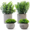 4 Piezas Plantas Artificiales Decorativas Pequeñas, Planta Artificial de Plástico de Serpiente Suculentas, Macetas Artificiales Decoracion para Decoración Baño Hogar Cocina Dormitorio Oficina Casa