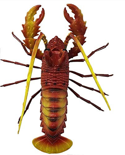 MUYU Magnet Palau Boracay Bali Malediven Hummer Kühlschrankmagnet Heim & Küche Dekoration Kunststoff Magnetaufkleber Kühlschrankmagnet Sammlung Reise Souvenir Geschenk