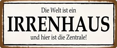 Metall Schild 27x10cm Die Welt ist ein Irrenhaus Sprüche Blechschild