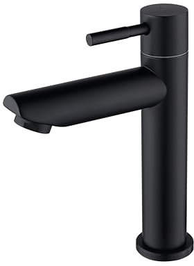 Decaura Robinet eau froide uniquement robinetterie de lavabo eau froide pour salle de bain à levier unique en acier inoxydable Noir Mat