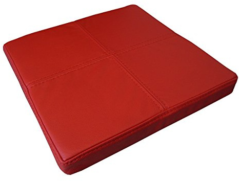 Quattro Meble Rot Echtleder Sitzkissen Lederkissen Sitzpolster fur Sessel Stuhle Bank doppelt genähtes Echt Leder Kissen Sitzauflage Auflage (35 x 35 cm)