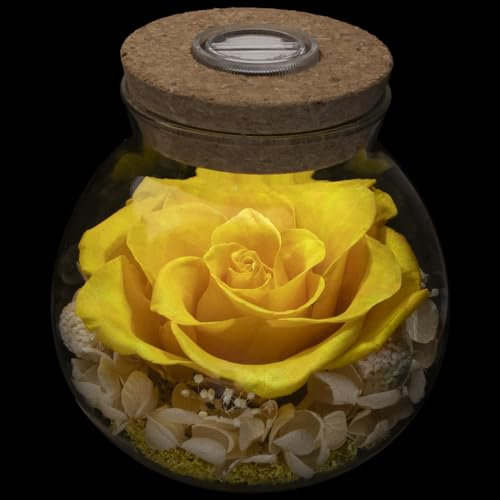 roliys Véritables roses préservées avec lumière d'ambiance colorée, rose éternelle, fleurs qui ne fanent pas, cadeau pour femme, 10,9 cm, 1 pièce (jaune)