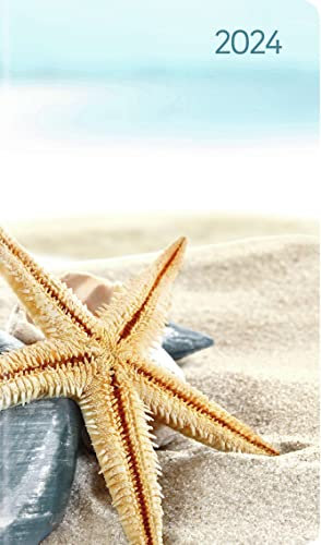 Ladytimer Slim Sea Star 2024 - Taschen-Kalender 9x15,6 cm - Seestern - Weekly - 128 Seiten - Notiz-Buch - Alpha Edition