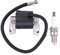 Doo Engy Zündspule Zündkerze Motor Zündspulenmodul Zündung Spule Modul Ersatz für Briggs & Stratton 492341 491312 490586 495859 Rasenmäher 286707 28D707 28B707 31G777 303777