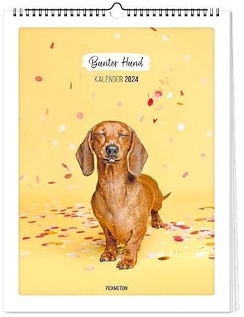 Kalender 2024 - Bunter Hund
