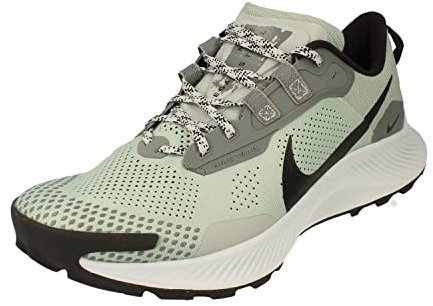 NIKE Air Pegasus Trail 3 Mens Running Trainers DV3035 Sneakers Shoes (UK 6.5 US 7.5 EU 40.5, Dusty sage Black Smoke Grey 001)