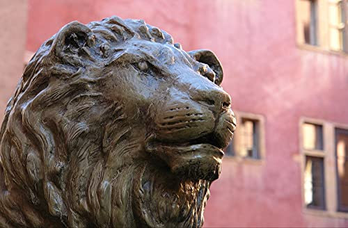 HANSEPUZZLE 51532 - Lyon Puzzle 500 Teile | Hintergründe Puzzle mit hochwertiger Puzzle Aufbewahrung: Kartonbox und wiederverschließbarem Beutel | Puzzle-Maße: 46 x 30 cm