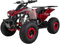 Actionbikes Motors Kinder Quad ATV S-10 125 cc | 4-Takt 125ccm Motor bis 𝟓𝟎 km/h - Kinderquad - Pocket Quad - Miniquad - Benzin Quads - Kinderfahrzeug - Für Kinder ab 8 Jahren (Metallic Rot)