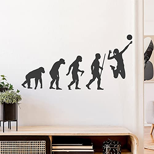 Volleyball Evolution Wandtattoo Wandaufkleber Wall Sticker - Dekoration, Küche, Wohnzimmer, Schlafzimmer, Badezimmer