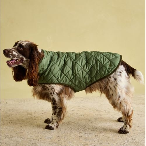 Rosewood x Joules Khaki Steppmantel für Hunde, groß, waschbar, leicht, warme Winterhundejacke für große Hunde