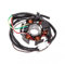 Lichtmaschine (Zündung) Maxtuned für Malaguti F15 Firefox LC Wasser ab 2004