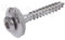 Lot de 2 vis étanches en acier inoxydable V2A, avec rondelle d'étanchéité EPDM D15 mm TX20 Torx DIN 7995 ISO 3506 (4,5 x 50 mm, 100)