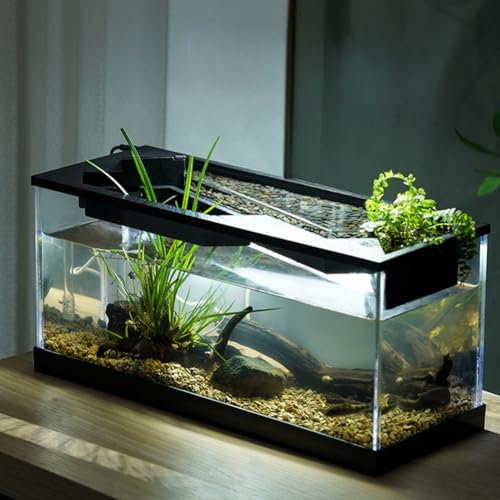 Glorlliant Desktop-Fischbecken mit Luftpumpe, Aquarium und Licht, Aquarium Starter Kits, ökologisches Zyklussystem, Zirkulierende Heizung, Beleuchtung Desktop-Fischtank, 38 x 14,5 x 18 cm