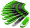 Zebra Fuente - Disposable Fountain Pen - Green Ink - Pack of 12
