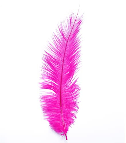 Ostrich Feathers - 10 - 12 / 25cm - 30cm - Pick Quantity / 25 Colours (Hot Pink, 9 x Ostrich Feathers)