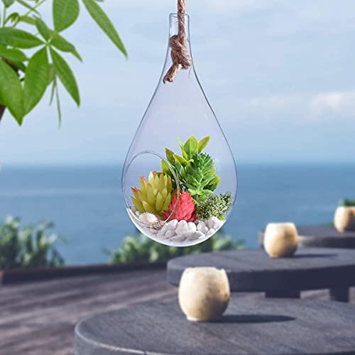 Kit Acquario Goccia Vetro a Forma Globo tenuto Corda Grande terrario in Vetro da Appendere Piante Arie, Piante grasse, Interna Camera Letto/Bagno