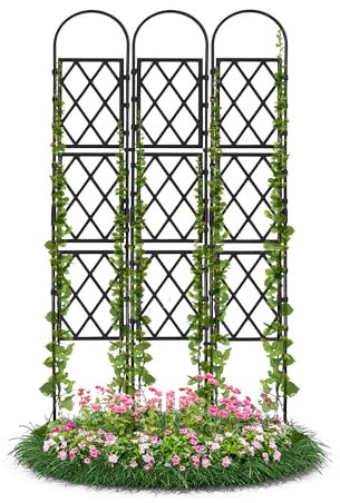 Gartenwelt Riegelsberger Wandspalier schwarz 90x175 cm für Kletterpflanzen Rosen Rundbogen Rankgitter Rankhilfe für Garten Terrasse