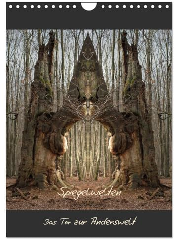 Spiegelwelten - Das Tor zur Anderswelt (Wandkalender 2026 DIN A4 hoch), CALVENDO Monatskalender: Einblick in die multidimensionale Welt der Natur (CALVENDO Kunst)