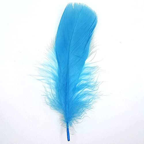 Natürliche Federn Gänsefedern, ca. 15-20 cm, 10 Stück, Türkis - Kopper-24 Gans Schwanzfedern Schmuck Dekoration Bastelfedern für Hochzeit Karneval Party Deko Kostüme Natur Basteln