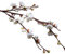 Saclerpnt Imitation Blume Winter Pflaumenblüte Japanische Kirschblüte Künstliche Blume Wohnzimmer Dekoration(Weiß)