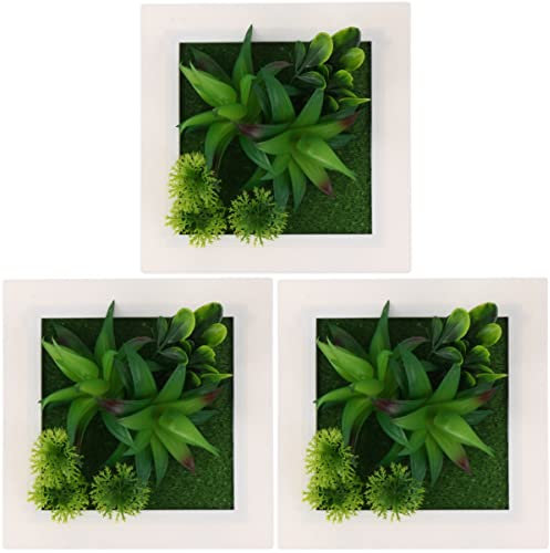 YARNOW Hausgeschenke Sukkulenten 3 Stücke Fleischig Schlafzimmer in Pflanzer Poster Wandbild Künstliche Ornament Montiert Dekorative Rahmen DIY D Raumdekor Gerahmt Grün Kunstpflanze