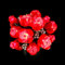 GEAMENT Set di Luci LED Compatibile Con LEGO Bouquet di rose (Bouquet of Roses) - Kit Di Illuminazione per Icons 10328 (Modello di mattoncini non incluso)