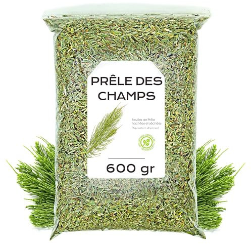 Cola de Caballo Infusión 600 gr - Cola de Caballo Hierba - Té de Cola de Caballo - Cola Caballo - Propiedades Naturales - Infusiones de Hierbas - Cola de Caballo a Granel (600 gr)