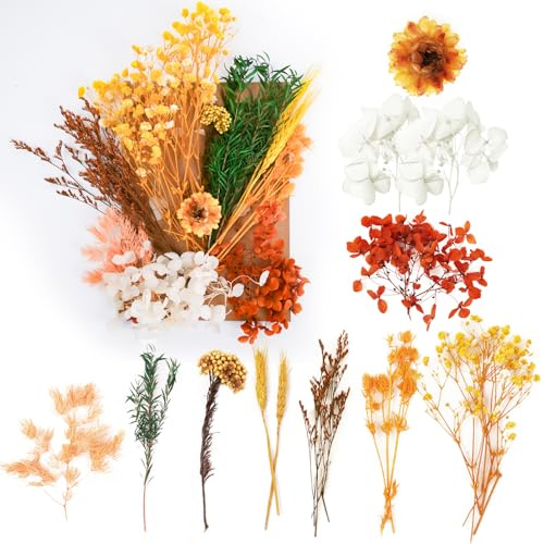 Trockenblumen, gepresste Blumen, Trockenblumen, Basteln für DIY-Kunst, Kunstharz, Scrapbooking, Schmuckherstellung, Blumendekorationen (Orange)