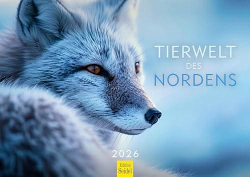 Edition Seidel Premium Kalender Tierwelt des Nordens 2026 Format DIN A3 Wandkalender Norden Skandinavien Arktis Tier Polarfuchs Rentier Eisbär Walross Luchs Elch Eule Christian Müringer