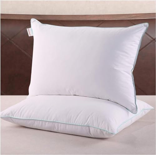 Homelike Moment Daunenfederkissen Queen – 2 Stück Federbettkissen zum Schlafen, Queen-Size-Kissen, 2er-Set, 100% Baumwolle, Bezug 50,8 x 76,2 cm