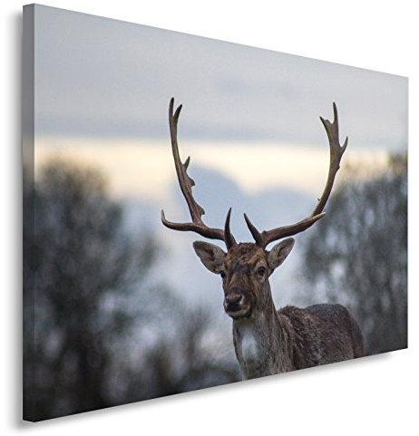 Feeby. Wandbild - 1 Teilig - 80x120 cm, Leinwand Bild Leinwandbilder Bilder Wandbilder Kunstdruck, HIRSCH, NATUR, BRAUN
