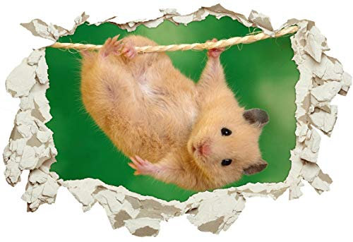 Unified Distribution Hamster hängt ab - Wandtattoo mit 3D Effekt, Aufkleber für Wände und Türen Größe: 92x61 cm, Stil: Durchbruch