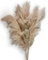 Sunnytree Herbe de la Pampa Décorative - Lot de 5 Tiges 115 cm - Plumes Longues Séchées pour Salon et Événements