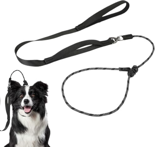 Slip Lead for Dogs, No Pull Nylon Training Leash Rope, Anti-Choking Adjustable Collar, Thin Dog Leashes for Outdoor Puppy Small Medium Large Dogs(Black)