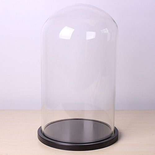 Siyaglass Clear Glass Cloche Globe Display Dome with Wooden Base 20cm x 35cm (black wood base)