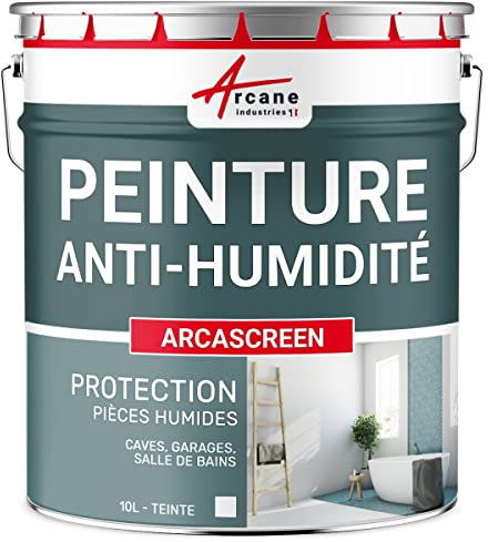 Peinture anti humidité pour mur humide en plâtre, béton, placo, cave et sous-sol, salle de bain, sdb, anti moisissure, salpêtre, isolante : Arcascreen - 10 L (jusqu'à 40 m²) - ARCANE INDUSTRIES