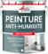 Peinture anti humidité pour mur humide en plâtre, béton, placo, cave et sous-sol, salle de bain, sdb, anti moisissure, salpêtre, isolante : Arcascreen - 10 L (jusqu'à 40 m²) - ARCANE INDUSTRIES